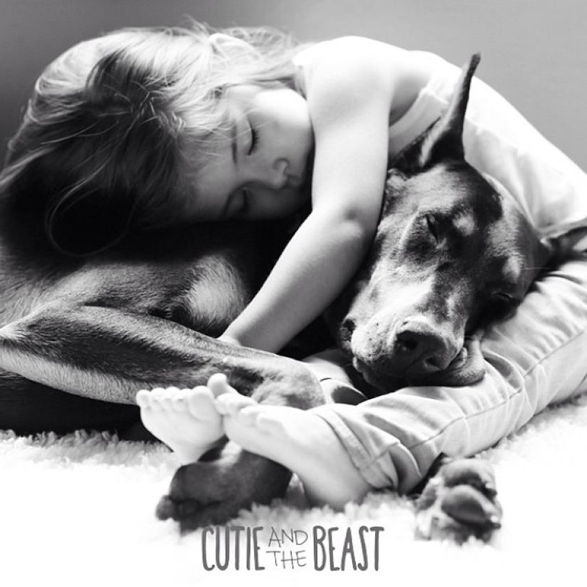 Beauty and the Beast: the amazing friendship of a tiny girl with a giant Doberman