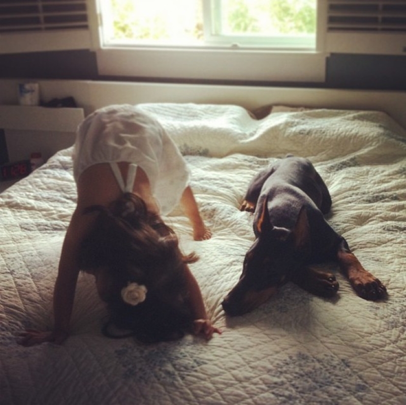 Beauty and the Beast: the amazing friendship of a tiny girl with a giant Doberman