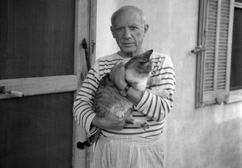 Behind every great man there is a cat