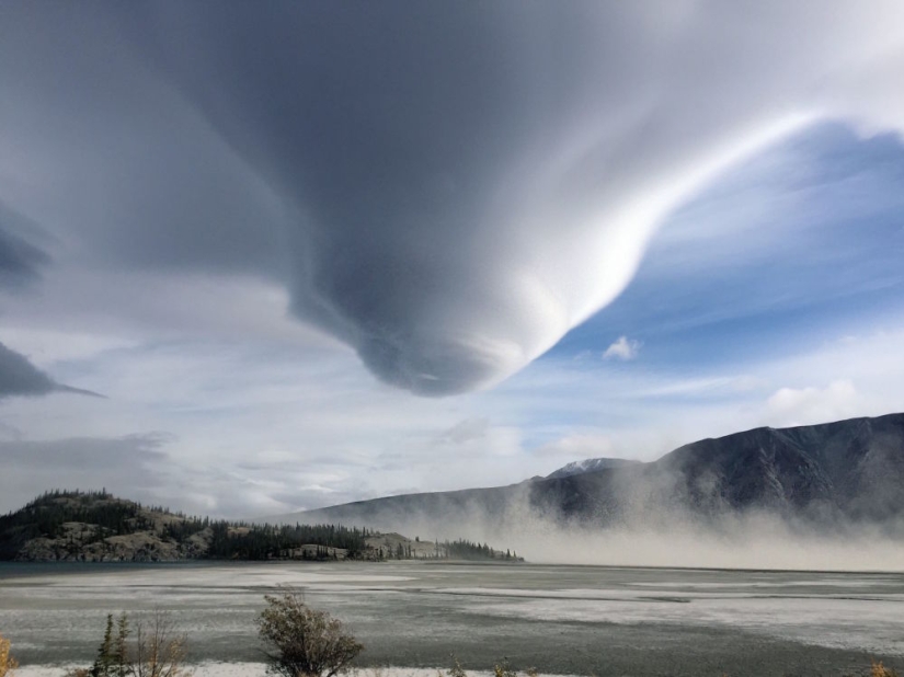 Best Scientific Photos of the Year: winners of the Royal Society Publishing Photography Competition 2019