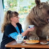 Big, plush, yours: the story of Stepan the bear, who lives in a Russian family
