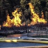 Bourbon in rivers and ethanol in the air: Jim Beam whiskey warehouses burn in Kentucky