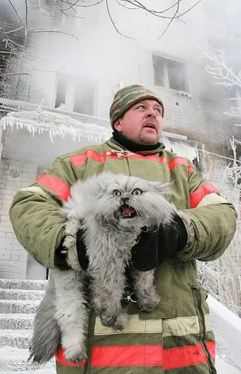 Brave firefighters who risked their lives to save animals