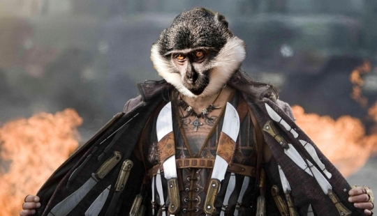 Brazilian city terrorized by monkey with machete