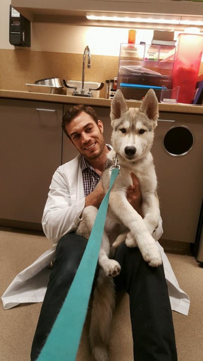 Bueno, ¿no es este el veterinario más sexy?