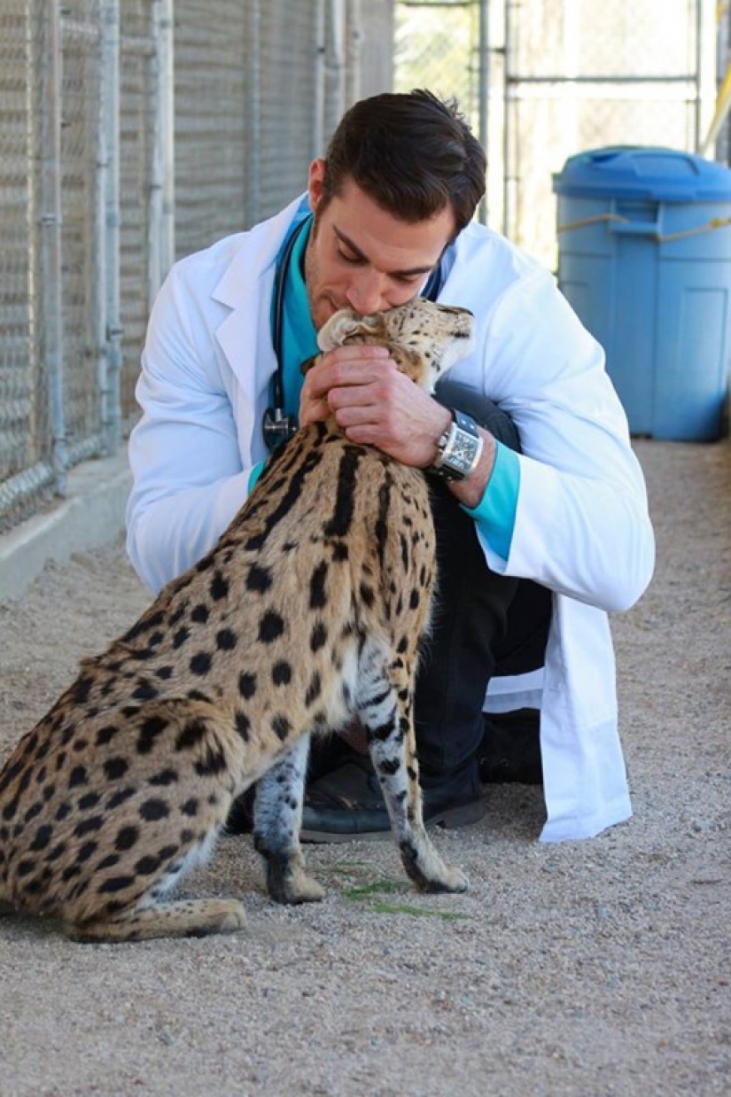 Bueno, ¿no es este el veterinario más sexy?