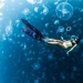 Caminar bajo el agua: los intrépidos buceadores están rodeados por miles de medusas
