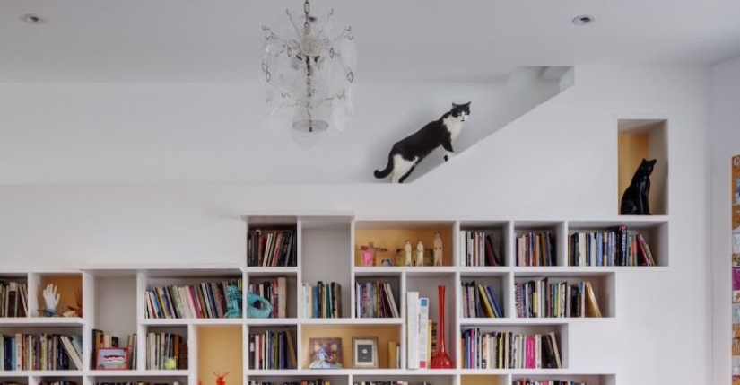 Casa de gatos: una pareja de Brooklyn creó el interior perfecto para sus mascotas