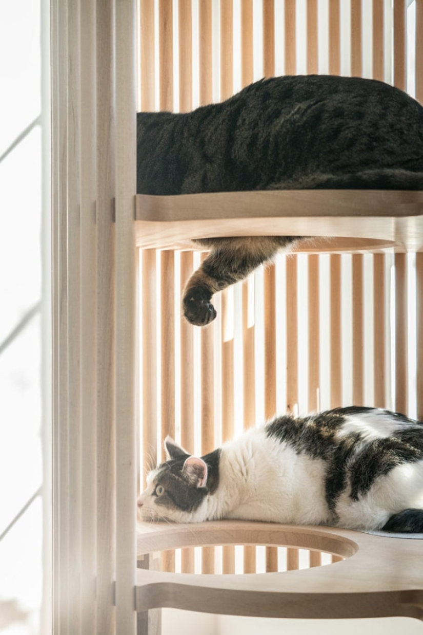 Casa para gatos de mármol y madera por medio millón de rublos