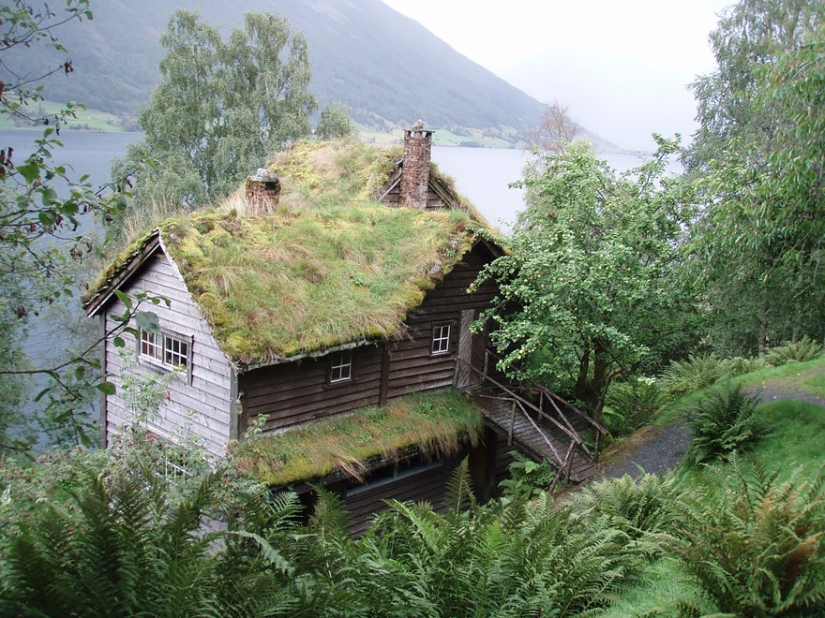 Casas escandinavas con techos verdes que parecen de un cuento de hadas
