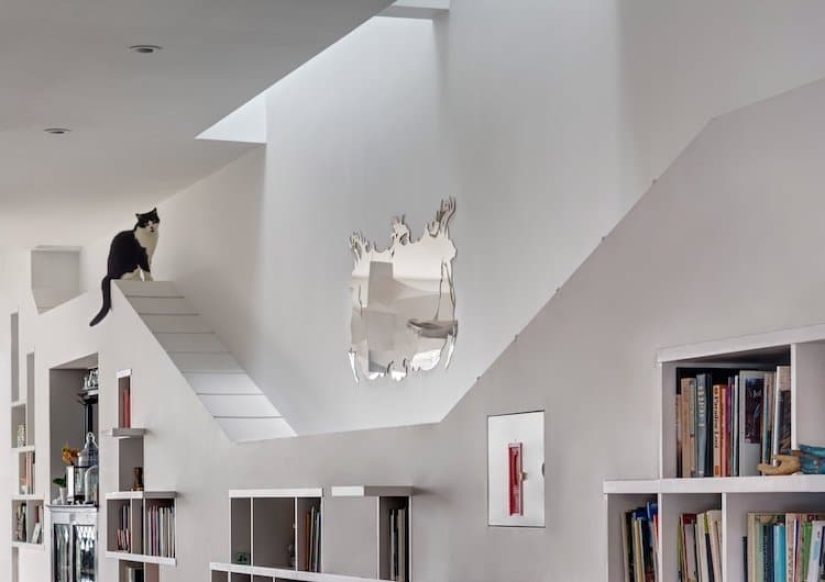 Cat house: a couple from Brooklyn created the perfect interior for their pets