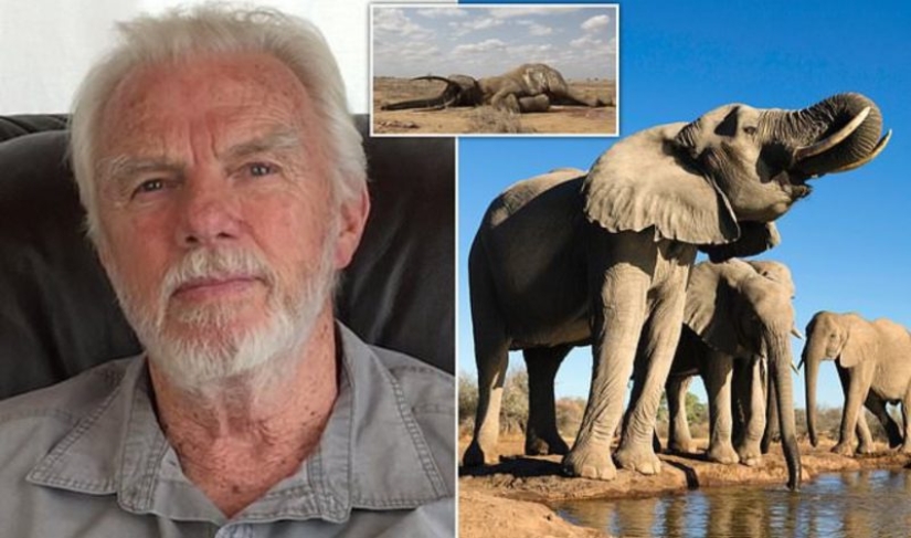 Cazador que mató a 5.000 elefantes y cientos de otros animales africanos no tiene remordimientos por lo que hizo