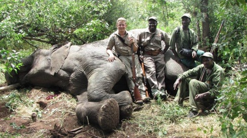 Cazador que mató a 5.000 elefantes y cientos de otros animales africanos no tiene remordimientos por lo que hizo