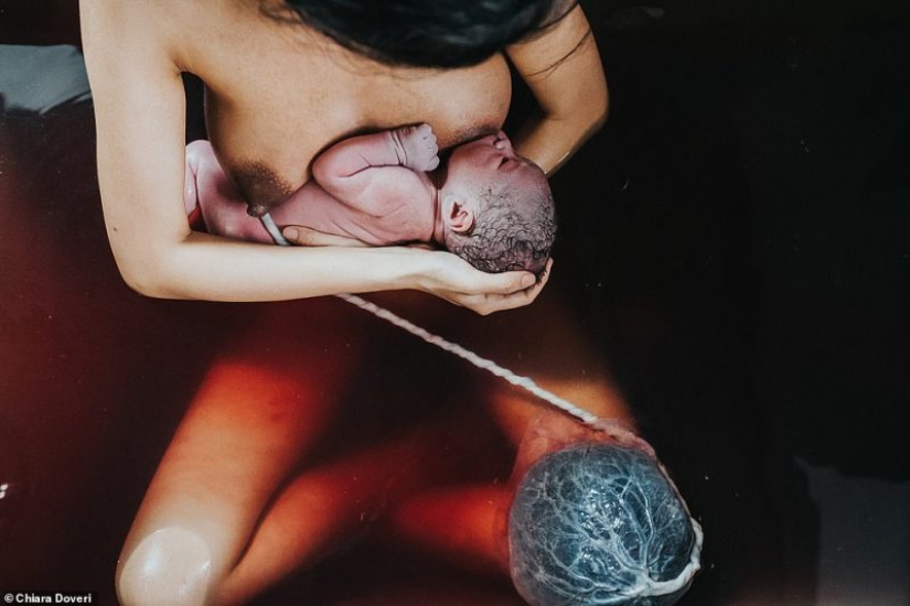 Celebración de la vida: las primeras lágrimas, alegría, llanto y dolor en las fotos del concurso anual "El nacimiento se convierte en ella"