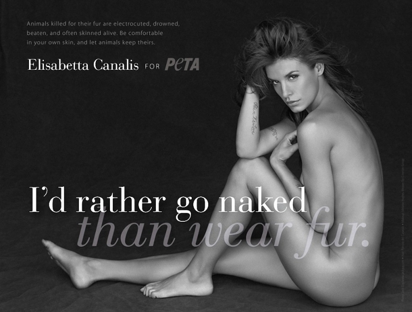 Celebridades que se Desnudaron para Participar en la Campaña Anti-Mech de PETA