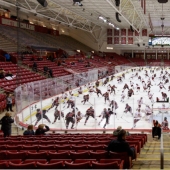 Chaos and dynamics of sports competitions in Pelle Kassa collages