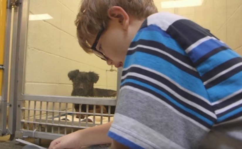 Children read aloud at an animal shelter to help bullied and shy dogs adapt