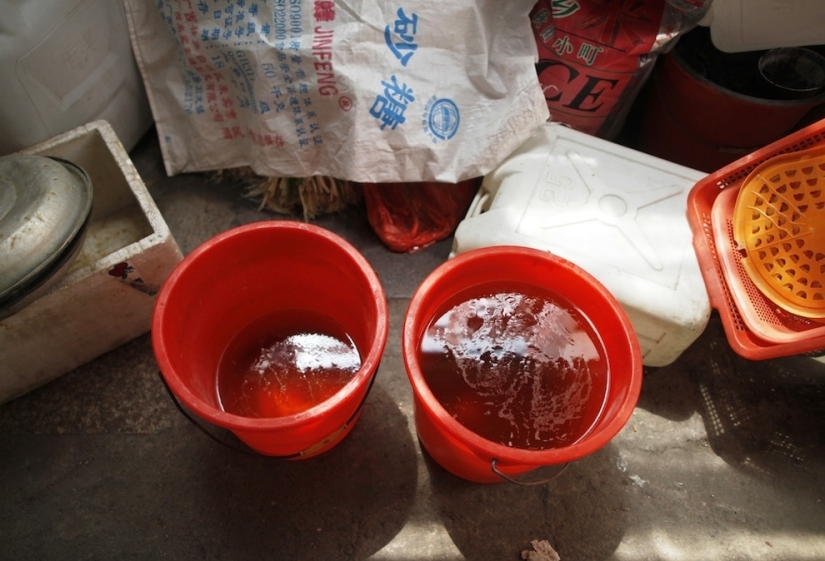 Chinese delicacy — eggs boiled in the urine of virgins