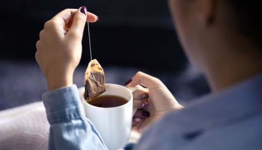 Científicos encontraron ADN de cientos de especies de insectos en una bolsita de té