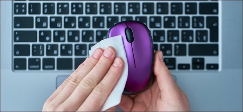Clean — the guarantee of health: how to disinfect your mouse and keyboard