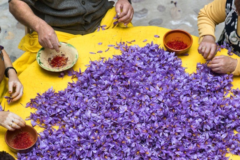 Cómo crecen algunas frutas y verduras: datos inusuales sobre alimentos familiares