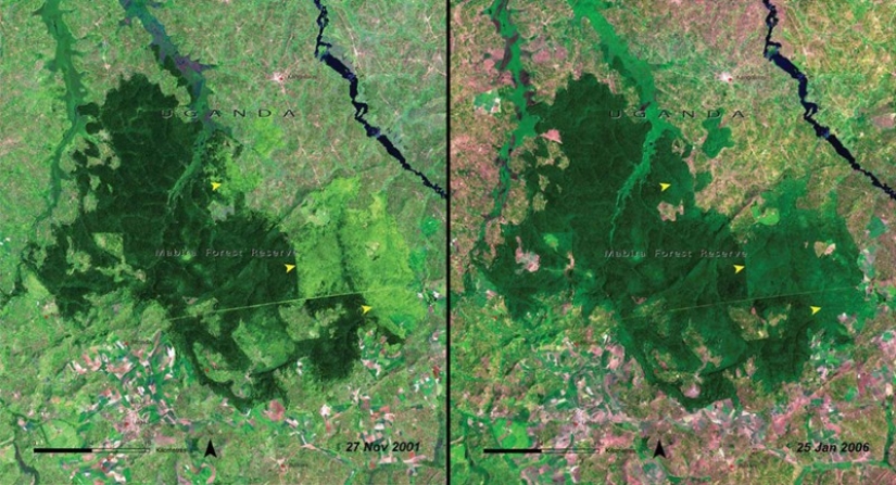 Cómo destruimos nuestro propio planeta