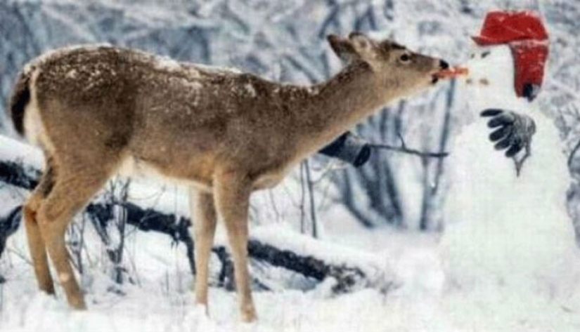 Cómo hacer el muñeco de nieve más genial para que toda la calle te envidie