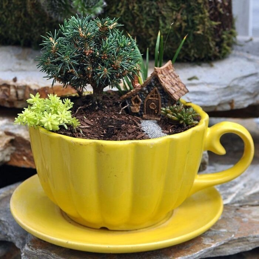 Cómo hacer un jardín en una taza de té: 25 ideas creativas