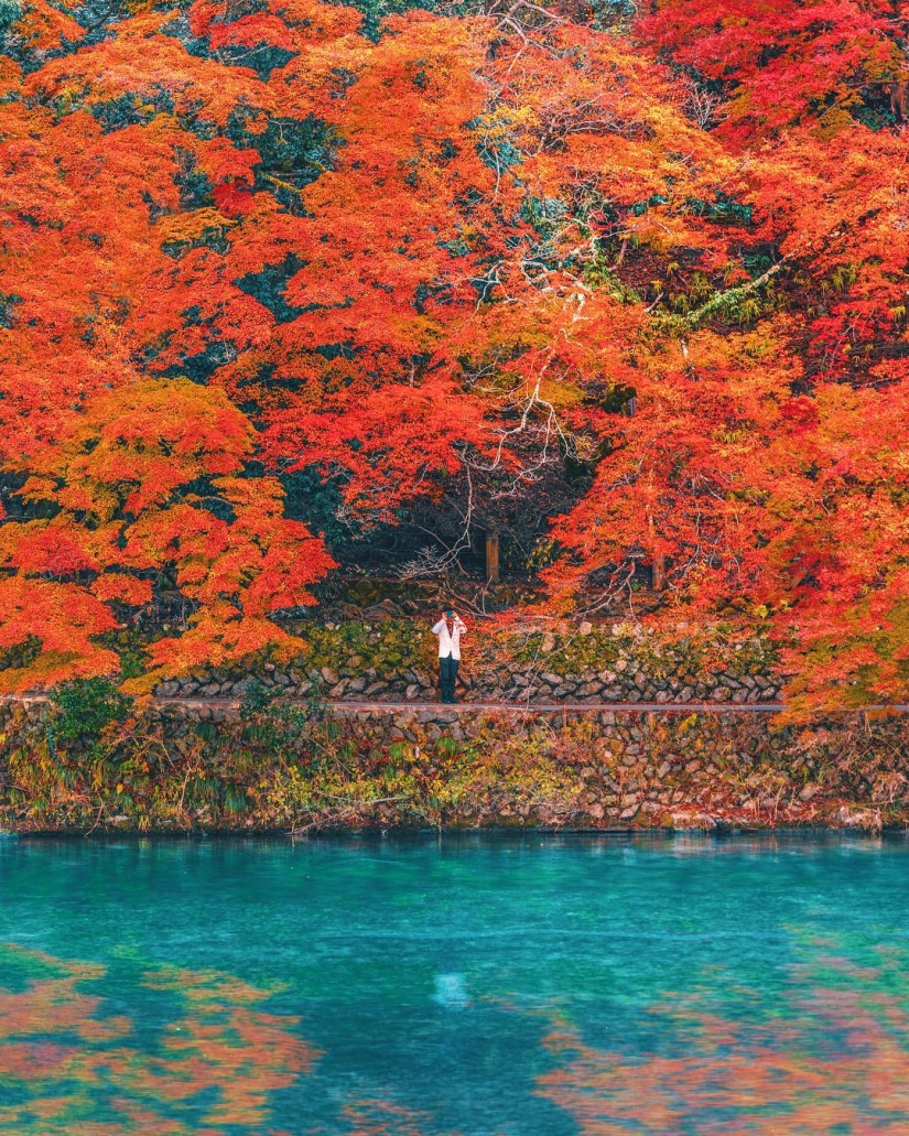 Cómo late el corazón del Gran Tokio: Japón brillante en fotos por Naohiro Yako