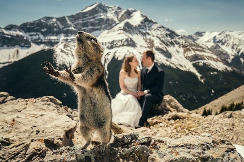 Cómo los niños, los animales y los invitados echan a perder las fotos de la boda