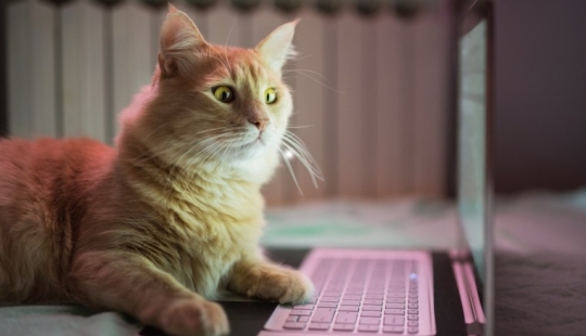 Cómo "romper" Google — 3 formas comprobadas Cómo "romper" Google — 3 formas comprobadas