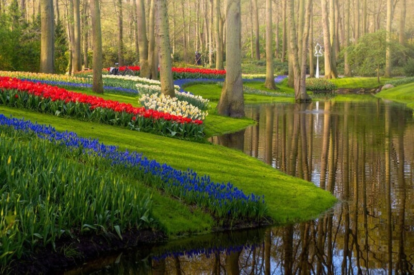 Cómo se ve el Parque de Tulipanes Keukenhof más hermoso sin un solo visitante