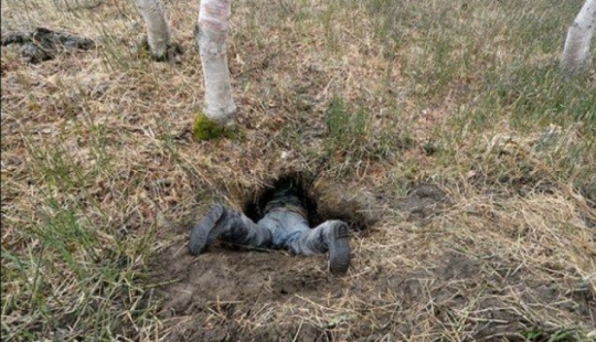 Cómo se ve una guarida de osos real desde el interior