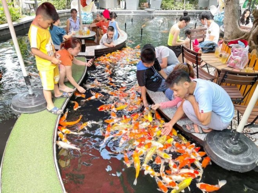Cómo son los cafés de peces de colores en Ciudad Ho Chi Minh