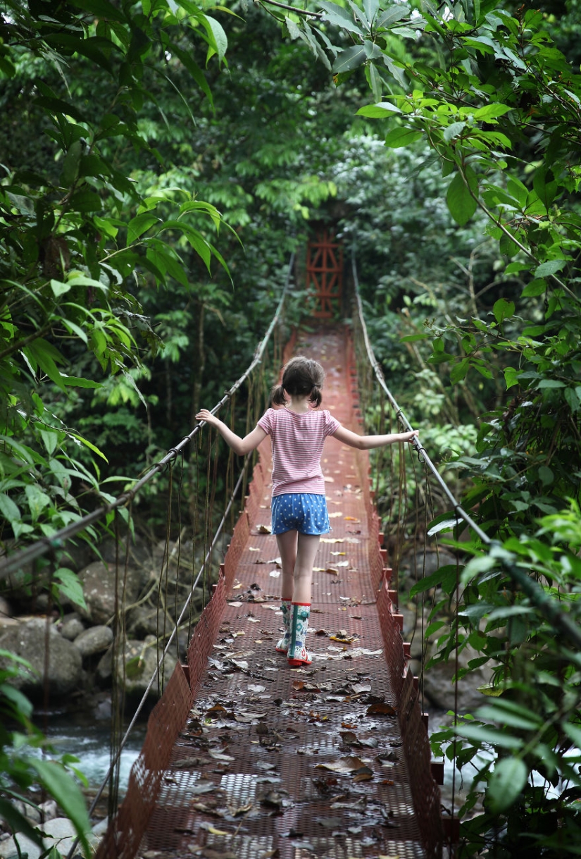 Cómo viajar por la jungla ayudó a un artista con autismo de ocho años