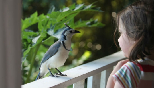 Cómo viajar por la jungla ayudó a un artista con autismo de ocho años