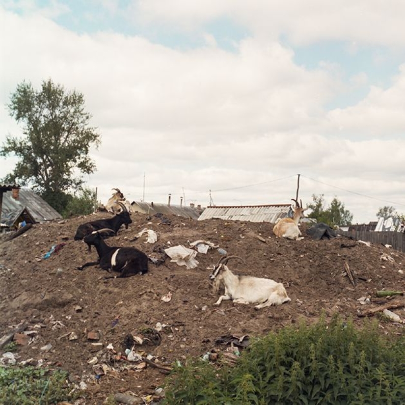 Cómo vive la gente de Shashlykograd en Mordovia, que alimenta a los camioneros