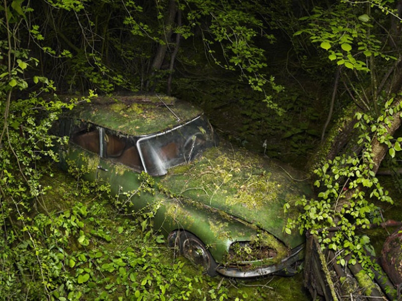 Coches abandonados en brazos de la naturaleza