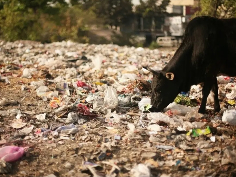 Contrast India: real everyday life of the country