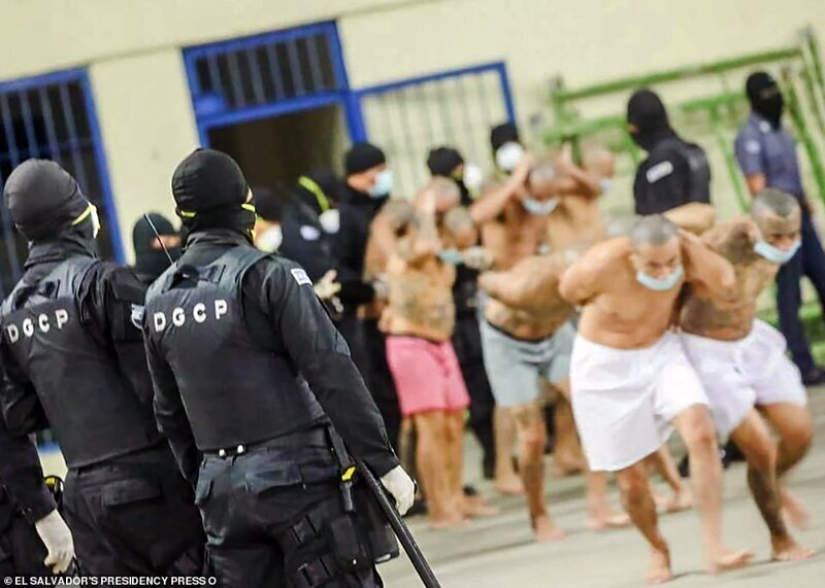 Coronavirus contra pandillas: en las cárceles de El Salvador, endurecieron el régimen, escupiendo cuarentena