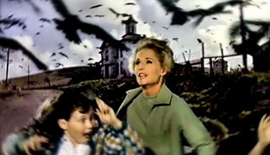 Cuando el horror clásico cobra vida: la inexplicable invasión de pájaros negros en Texas