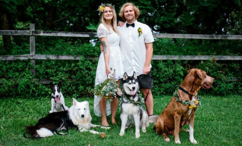 Cuando el operador tiene patas: la pareja instruyó a su perro para que disparara la boda