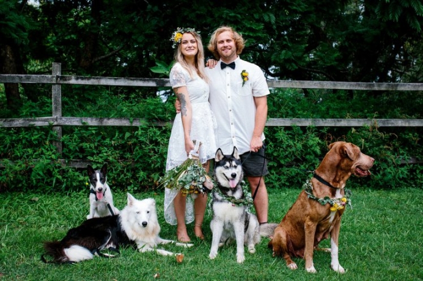 Cuando el operador tiene patas: la pareja instruyó a su perro para que disparara la boda
