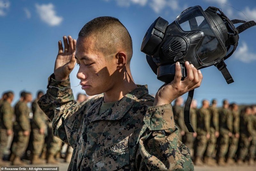 ¿Cuál de estas fotos será la mejor? Obras del Concurso de Fotografía del Smithsonian 2018