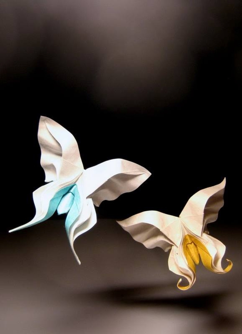Damp: origami by Hoang Tien Kuet