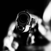 Dangerous profession: the photographer came to shoot the house and got shot by the hostess