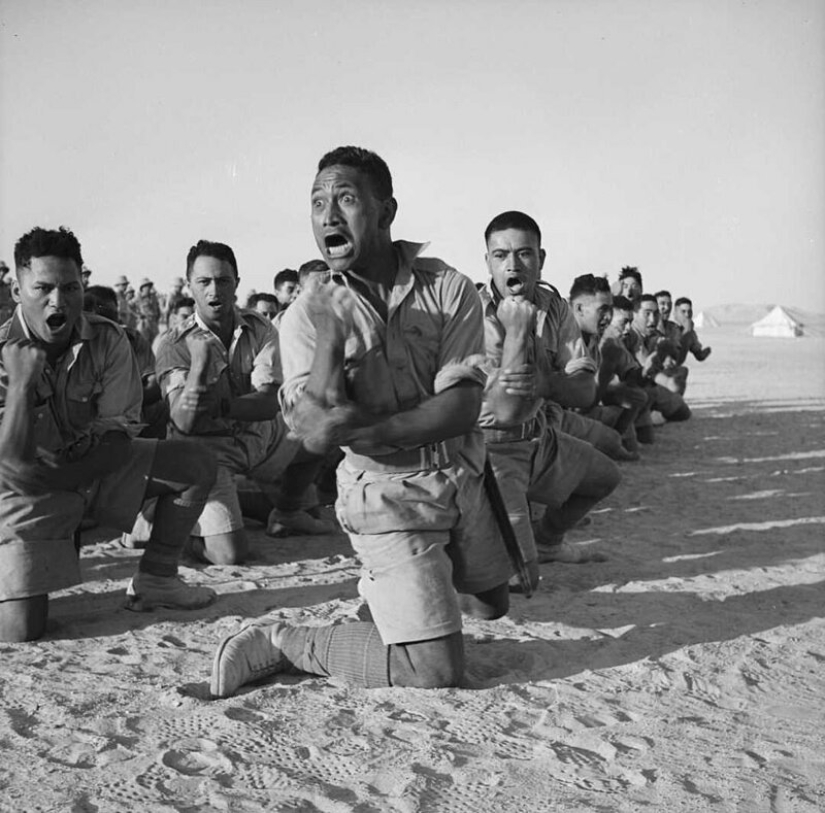 Danza de guerra de la nueva zelanda Maorí batallón en el desierto