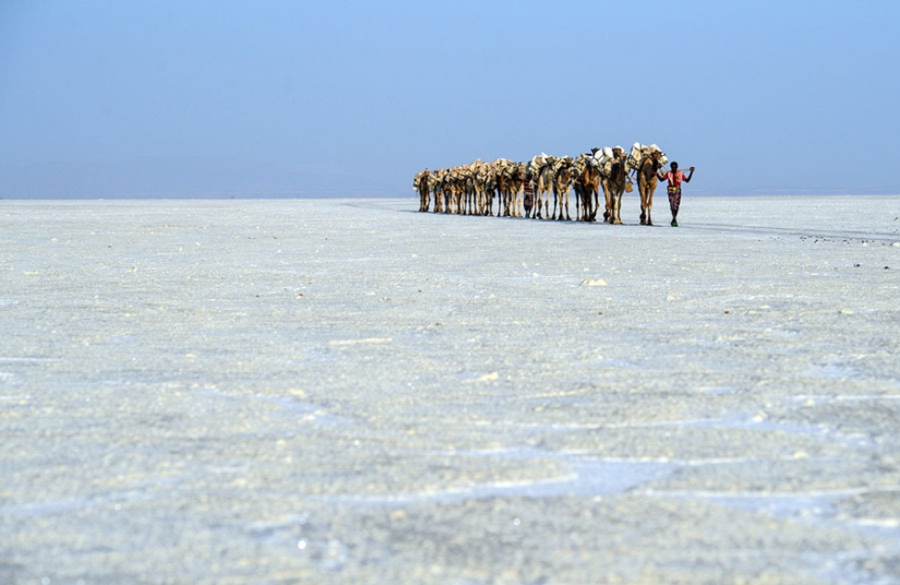 Death Valley in Ethiopia: what does the most lifeless place on the planet look like