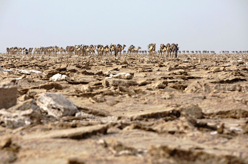 Death Valley in Ethiopia: what does the most lifeless place on the planet look like