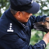 Decent old age of service dogs: a Chinese dog handler has opened a shelter for retired dogs